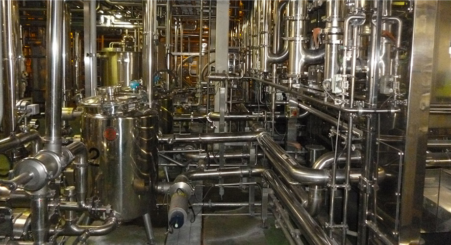 FOOD PLANT